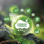 Representation of Carbon Credit